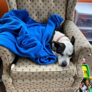 Meet your Posher, Deanna